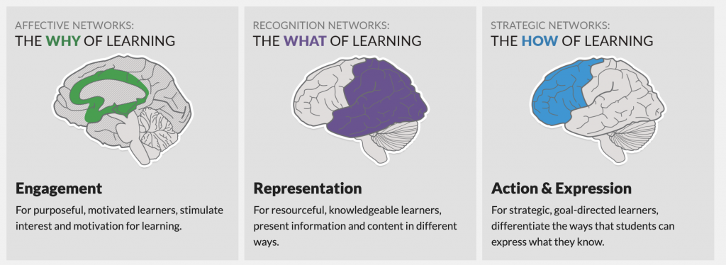 Affective networks help with the why of learning: focus on engagement. Recognition networks help with the what: focus on representation. Strategic networks work with the how: focus on action and expression. 