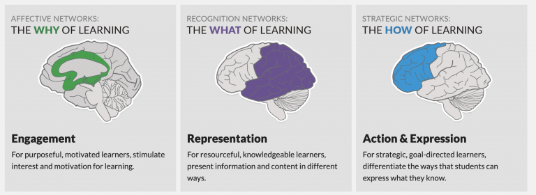 Affective networks help with the why of learning: focus on engagement. Recognition networks help with the what: focus on representation. Strategic networks work with the how: focus on action and expression.